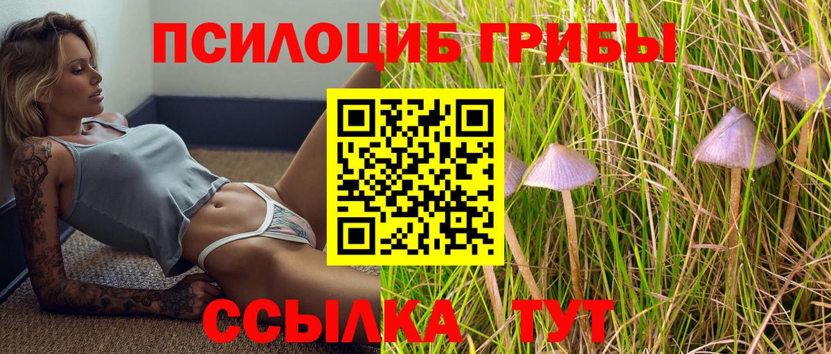 цены наркотик  Псилоцибиновые грибы Cubensis  Вход с VPN  Благодарный 